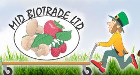 Image for Мид Биотрейд ООД - Търговия с диворастящи гъби, плодове и зеленчуци