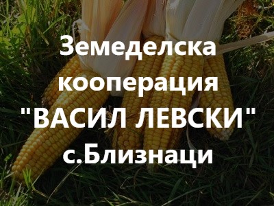 Image for Земеделска кооперация "ВАСИЛ ЛЕВСКИ", Близнаци