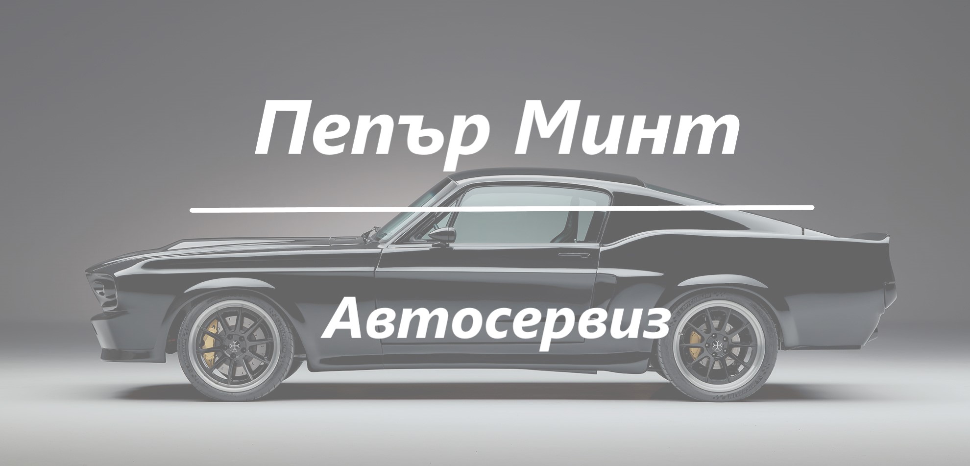 Image for "Пепър Минт" | Автосервиз, София