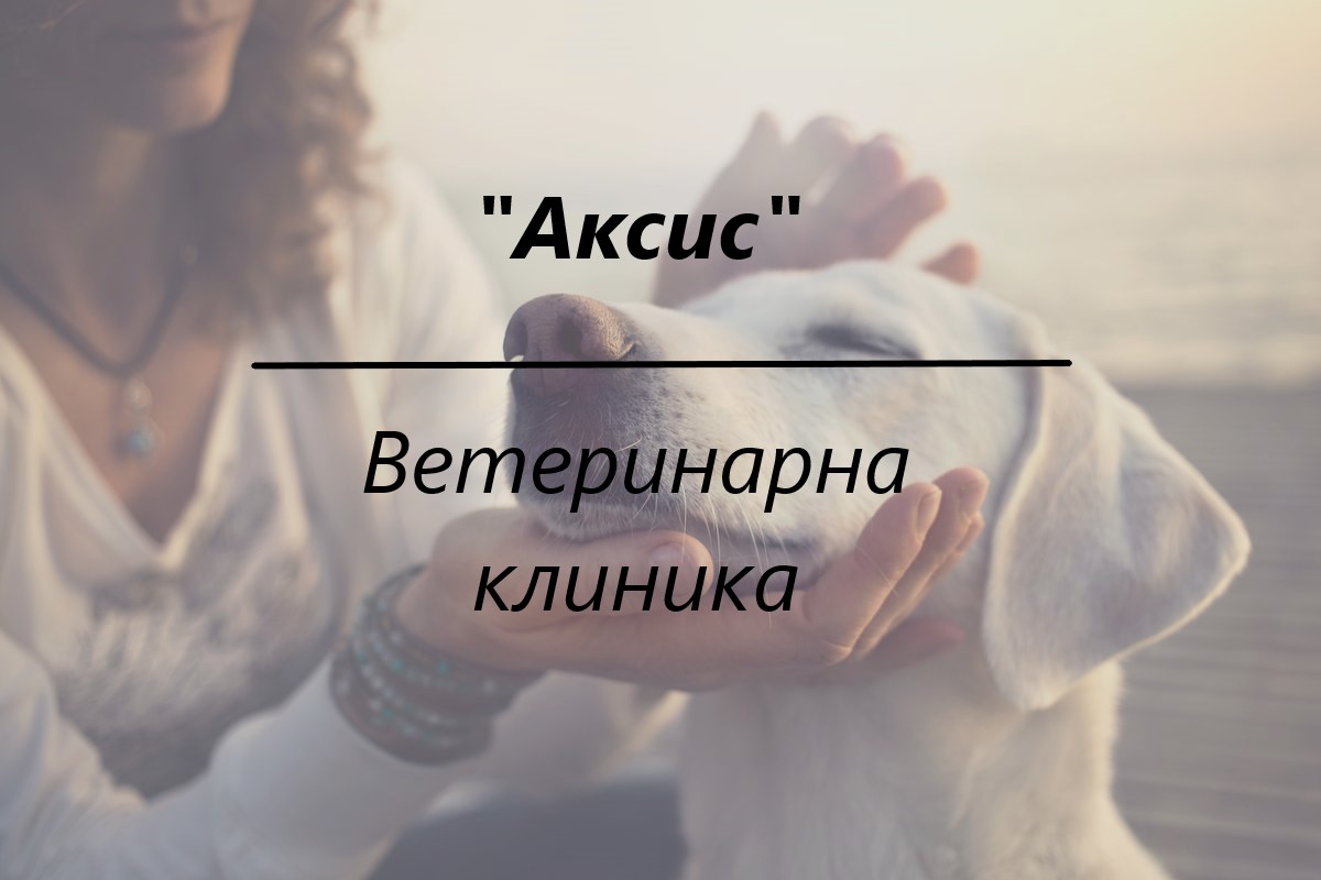 Image for "Аксис" |  Ветеринарна клиника, Стара Загора