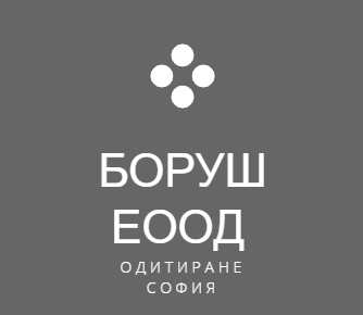 Image for БОРУШ ЕООД - Одитиране, София