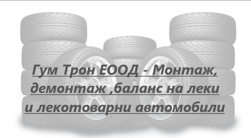 Image for "Гум Трон" ЕООД | Монтаж, демонтаж ,баланс на леки и лекотоварни автомобили, гр.Плевен