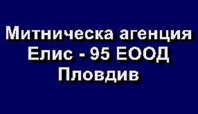 Image for Митническа агенция Елис - 95 ЕООД, Пловдив