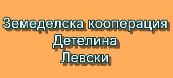 Image for Земеделска кооперация Детелина, Левски